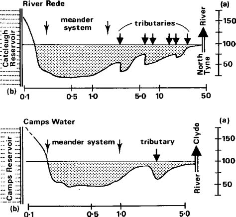 Complex response of river channel morphology subsequent to reservoir ...