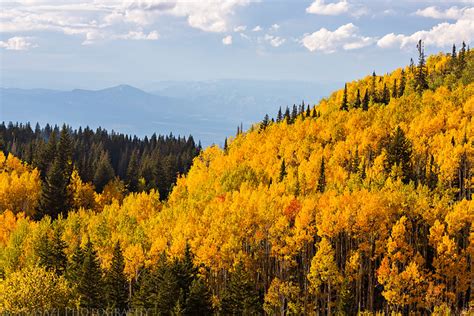 Grand Mesa Fall Colors // ADVENTR.co