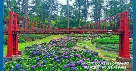 Baguio City mulls Botanical Garden entrance fee hike | Philippine News Agency