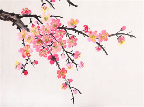 Chinese painting of flowers, plum blossom - Custom Wallpaper