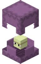 Shulker – Official Minecraft Wiki