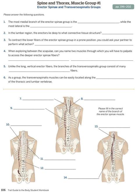 Trail Guide to the Body Complete Student Package