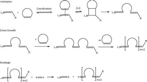 Ring Opening Metathesis Polymerization | IntechOpen