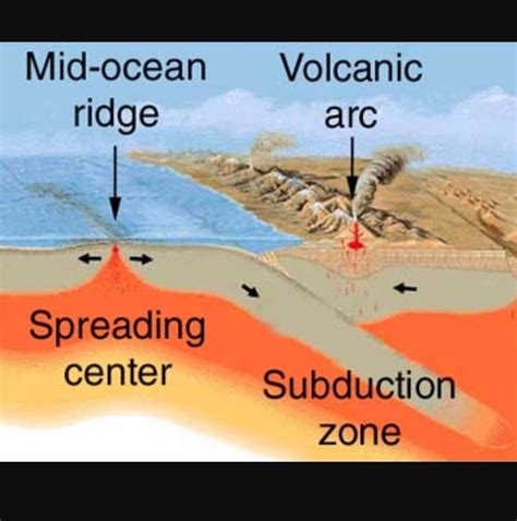 Ocean Trench Diagram