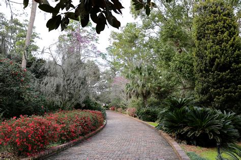 Sweet Southern Days: Maclay Gardens in Tallahassee, Florida