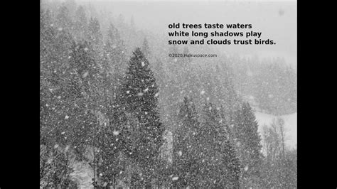 Winter Haiku Poems