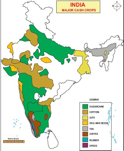 Cash crops map of India | Cash crop, India map, Indian history facts