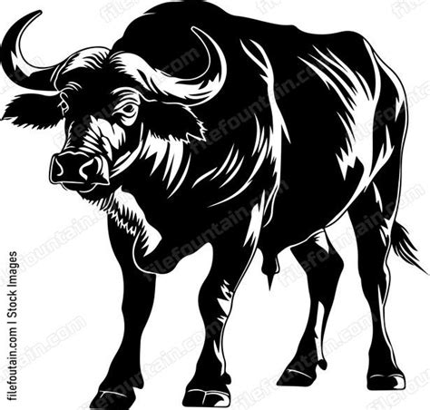 Water Buffalo Logo Vector Design - FileFountain