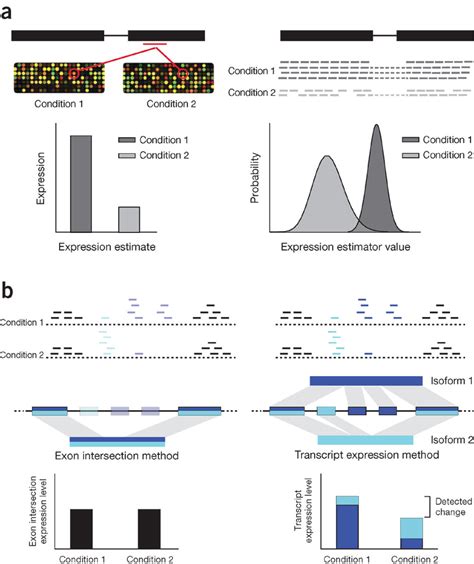 Overview of RNA-seq differential expression analysis.(a) Expression ...