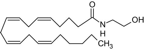 Anandamide (ethanol solution), endogenous cannabinoid (CAS 94421-68-8 ...