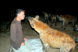 Hyena feeding, Harar, Day 322 - Roderick Phillips