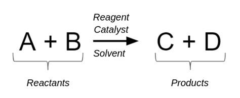 Reaction terminology - Labster