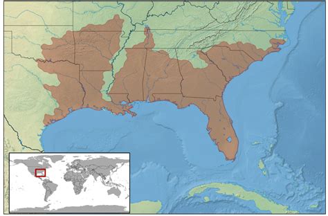 pygmy rattlesnake range map - Bird Watching HQ