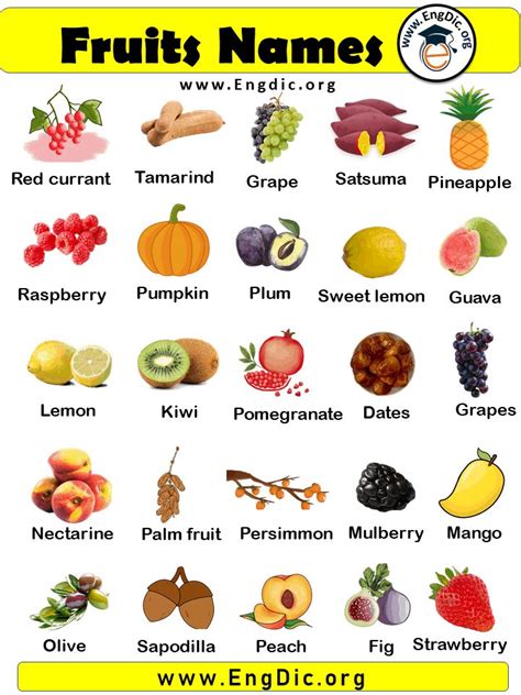 10 Fruits Name with Pictures, Fruits Name List | Fruit names, Fruits name list, Fruits and ...