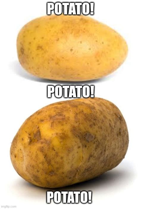 Potato, potato, potato! - Imgflip