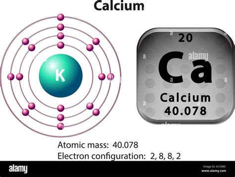 [DIAGRAM] Atomic Diagram Of Calcium - MYDIAGRAM.ONLINE