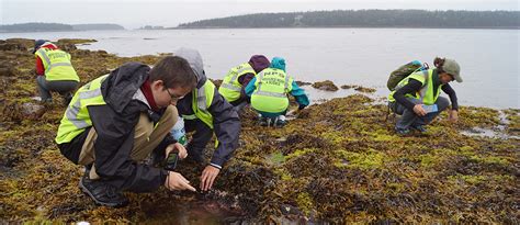 Marine Ecology | Schoodic Institute