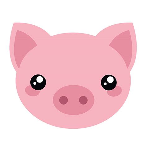 Pig Nose Illustrations, Royalty-Free Vector Graphics & Clip Art - iStock