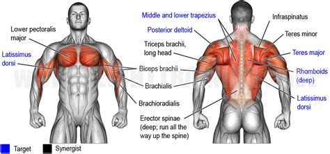 Wide-grip cable row exercise instructions and video | weighttraining.guide