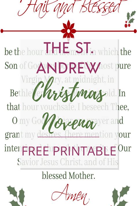 St. Andrew Christmas Novena in 2020 | Catholic, Catholic all year, Novenas catholic