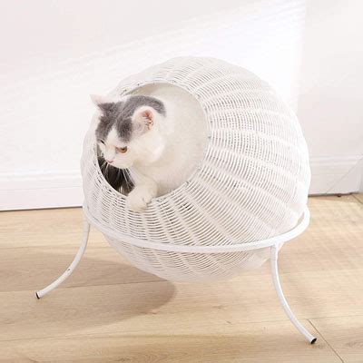 Raised And Elevated Cat Beds You And Your Kitty Will Love! – Meow As Fluff