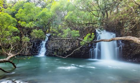 The 10 Best Waterfalls in Maui You Can’t Afford To Miss - A-Z Animals