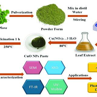 (PDF) Fabrication of Copper Oxide Nanoparticles Using Passiflora edulis ...