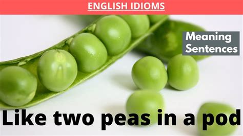 Like two peas in a pod | Meaning of and sentences with this idiom | TELW | Speak Naturally - YouTube