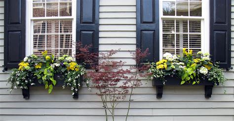 Two Window Boxes with Black Shutters, Tradd Street, Charle… | Flickr