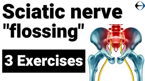 Sciatica: 3 exercises for sciatic nerve flossing - Evercore - Move With ...