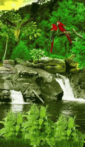 Falls GIF - Falls - Discover & Share GIFs Beautiful Pictures, Beautiful ...