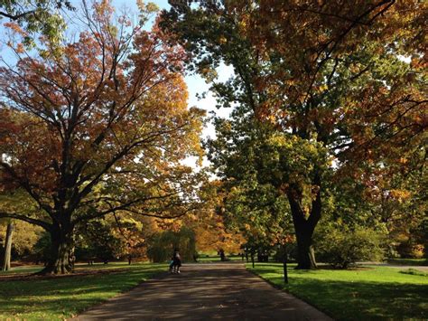 17 best spots to see fall foliage in NYC | 6sqft