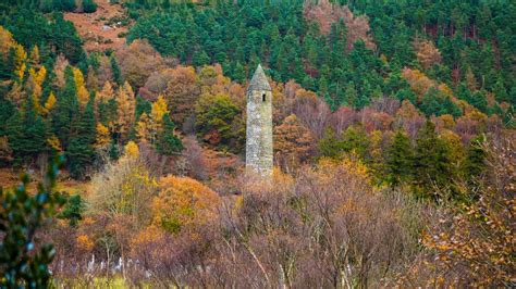 Ten favourite forest walks in Ireland – The Irish Times