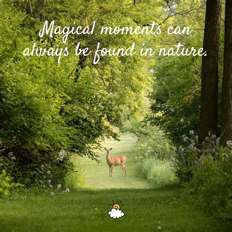 "Magical moments can always be found in nature." Inspiring quotes from LittleThings | Nature ...