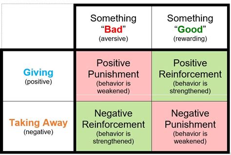 Module 6: Basic Operant Conditioning Principles/Procedures and ...