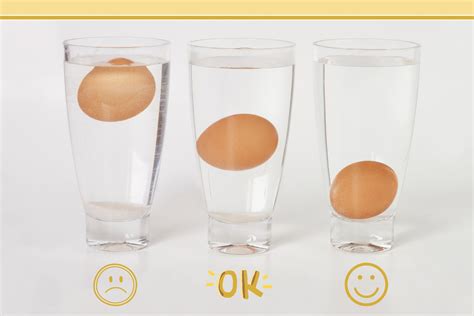 Egg float test: How to tell if an egg is bad | GoodtoKnow