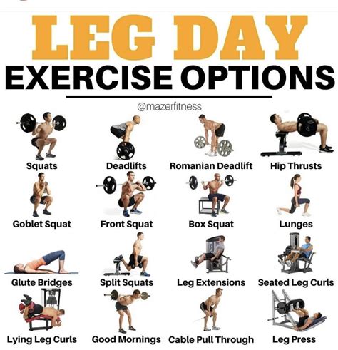 What Is The Best Exercise To Build Leg Muscle - Cardio Workout Routine