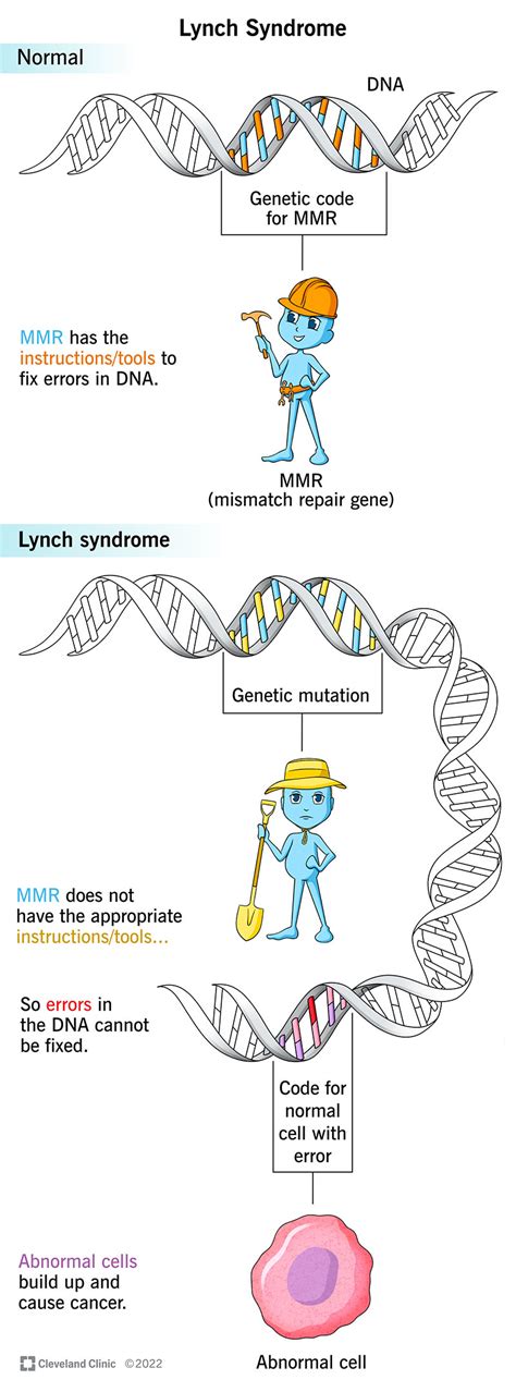 Lynch Syndrome: Signs/Symptoms, Causes, Outlook