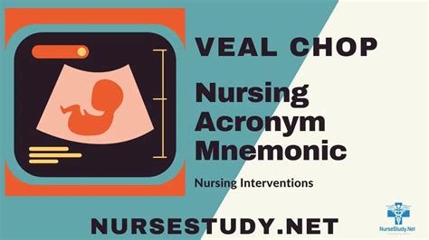 VEAL CHOP Nursing: A Guide to Fetal Heart Rate Pattern Interpretation ...