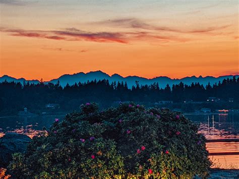 Not exactly Seattle and not Mt. Rainier, but the sunset we got over the Olympics tonight across ...