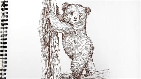 How To Draw A Bear Cub » Tacklebranch