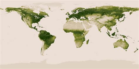 Vegetation Map of the World [8000 x 4000] : r/Map_Porn