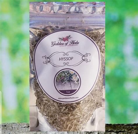 Hyssop 1 Oz Dry Hyssop Hyssop Tea Hyssop Herb Natural | Etsy