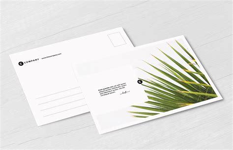 Free Postcard Mockup Set | Mockup World HQ