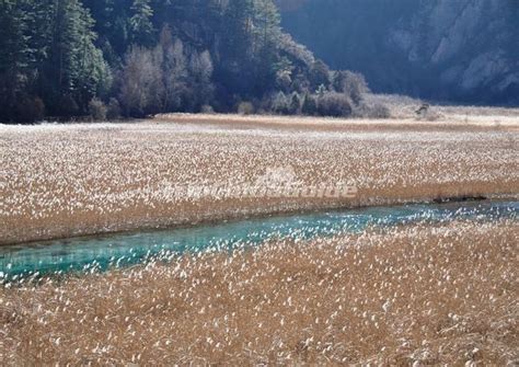 Autumn Scenery at Jiuzhaigou Valley Aba - Autumn/Fall in Jiuzhaigou Valley, Jiuzhaigou in ...