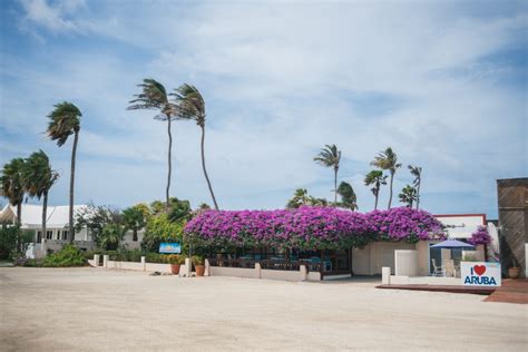 Aruba Beach Villas – Aruba Beachfront accommodations | LocationLocation - Aruba Beach Villas ...