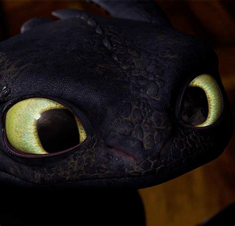 Hiccup Falling Off Toothless GIF | GIFDB.com