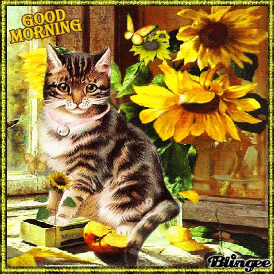 CAT SUNFLOWERS. Picture #137363249 | Blingee.com