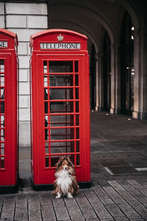 Vegas in London (England) — Fotografia Elegante