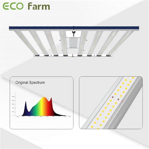 Best 1000W LED Grow Light Review for 2023 - GrowPackage.com